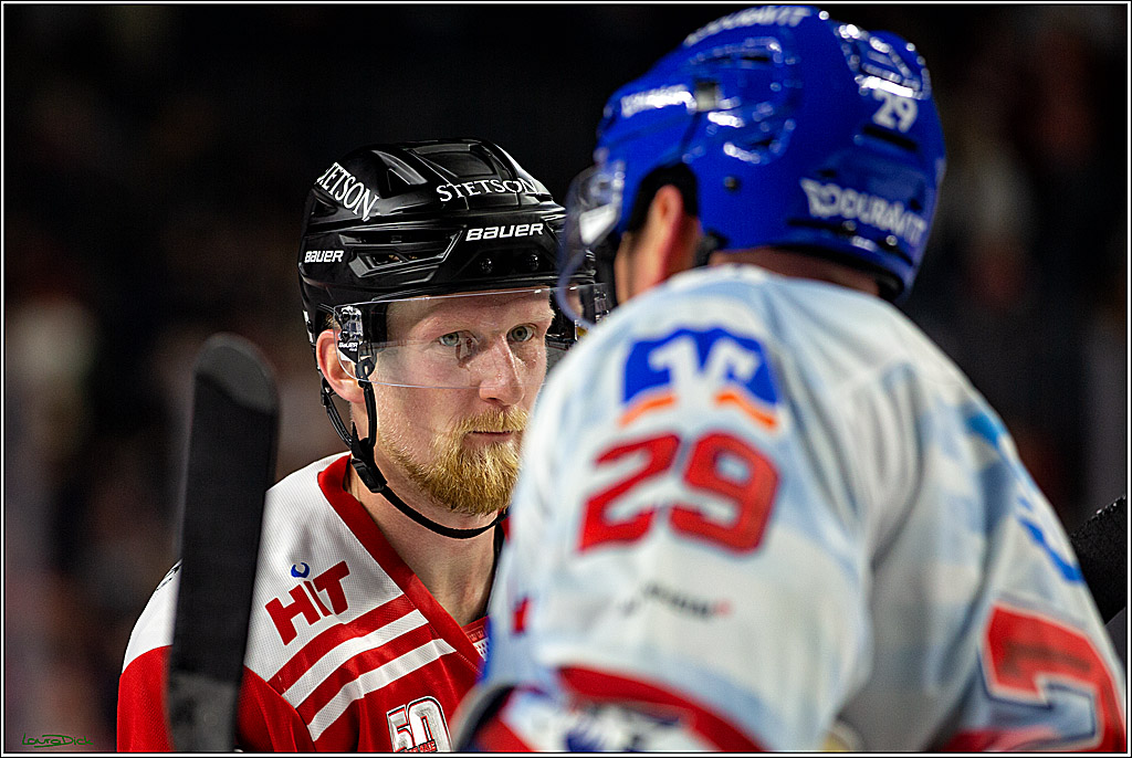 PENNY DEL; Koelner Haie- Adler Mannheim; Koeln, 04.11.2022
